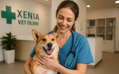 Compassionate Care and Expert Services at Xenia Vet Clinic: Your Pet’s Health Is Our Priority