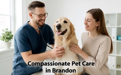 Trusted Care and Compassion at Vet Clinic Brandon: Your Pet’s Healthy Future Starts Here