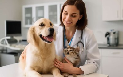 Experience Compassion and Care at the Premier Vet Clinic Fort Saskatchewan for Your Pets’ Wellbeing