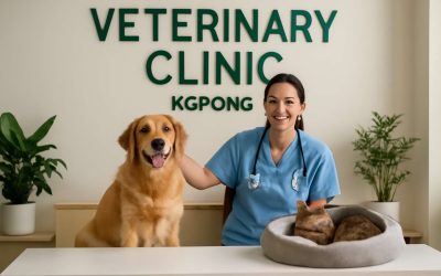 Discover Trusted Care at the Premier Vet Clinic Kepong for Your Pet’s Health and Happiness