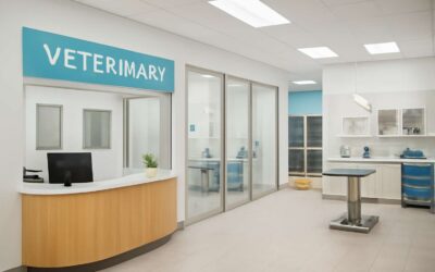 Smart patient flow and serene spaces: vet clinic layout that boosts care and efficiency