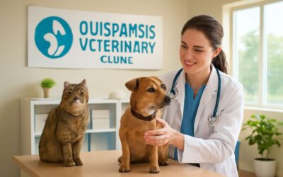 Discover trusted care at vet clinic quispamsis, where your pet is family.