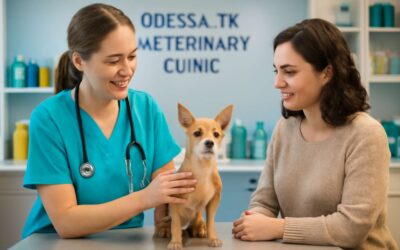 Your Pet Deserves the Best at vet clinic odessa tx – Trusted in Odessa