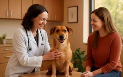 Experience compassionate care at vet clinic rochester mn for pets.