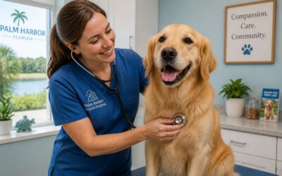 Visit the vet clinic of palm harbor for your pet’s health.