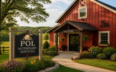 Where is Dr Pol Vet Clinic? Discover its location and services.