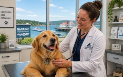 Trust vet clinic nanaimo for your pet’s health.